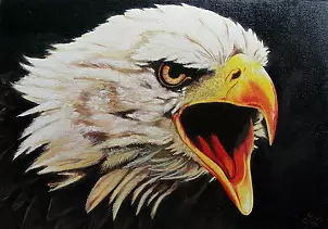 Aleksandra Pałasz - American eagle