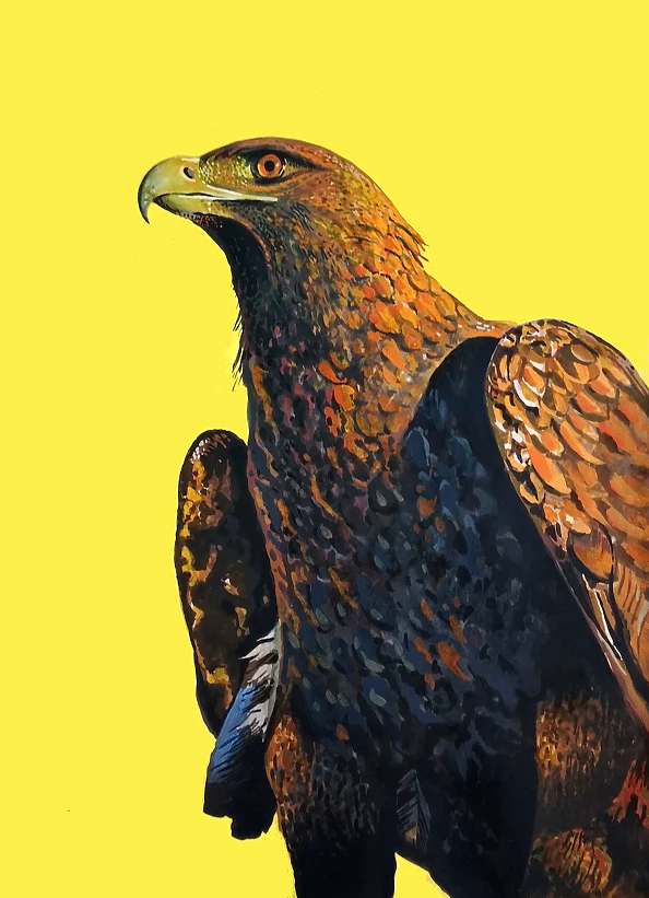 Grzegorz Ziółkowski - Orzeł