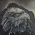 Katarzyna Suchoń - Eagle
