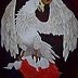 LUCYNA Wiech - Eagle