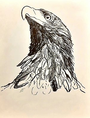 Rafał Czwichocki - Eagle