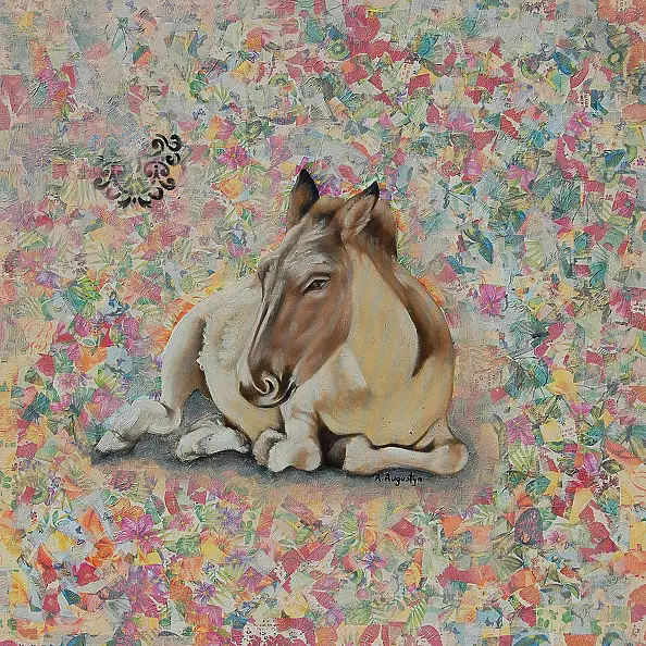 Amelia Augustyn - Osiołek