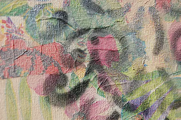 Amelia Augustyn - Osiołek