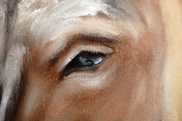 Amelia Augustyn - Osiołek