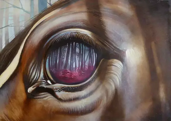 Andrzej Skoczylas - Ostatni las