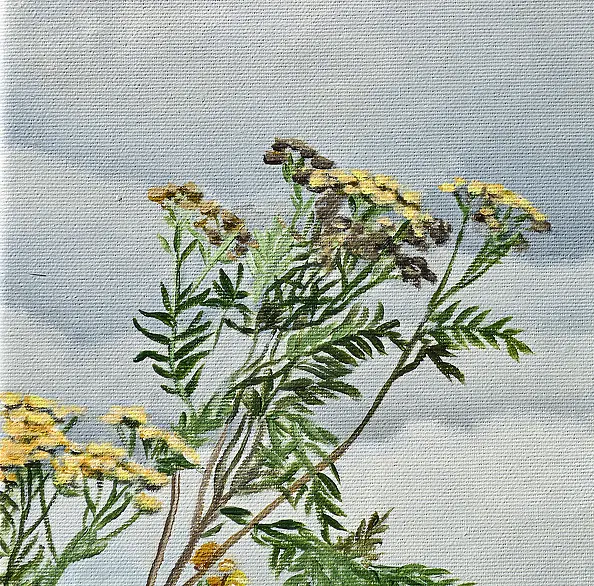 Nataliya Bagatskaya - The Last Witness