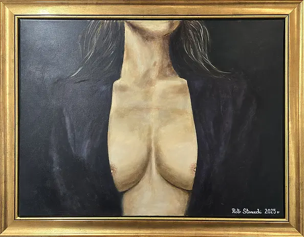 Piotr Starzecki - Ostatnia osłona - seria Niedopowiedzenia