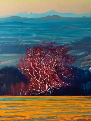 Wojciech Pater, Ostatnie Promienie Słońca, Obraz olejny - płyta, 60 x 80