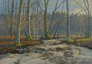 Wojciech Górecki - Recent snows