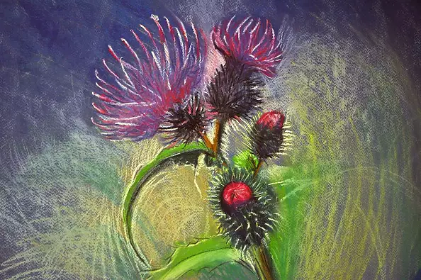 Agata Wróblewska Borucka - Osty.