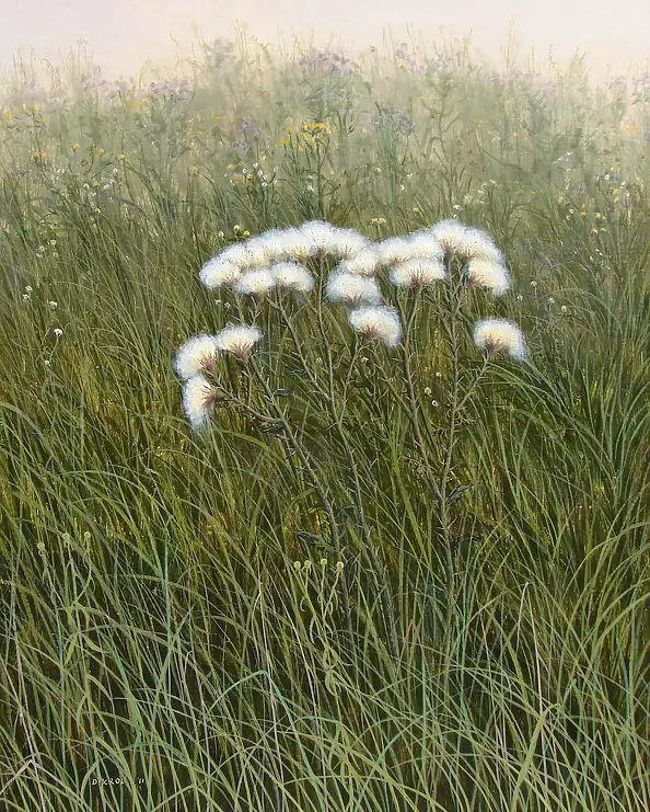 Dariusz Król - The thistles