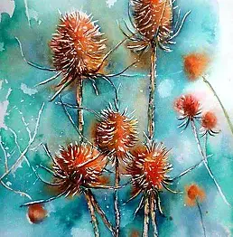Krystyna Piotrowska - thistles