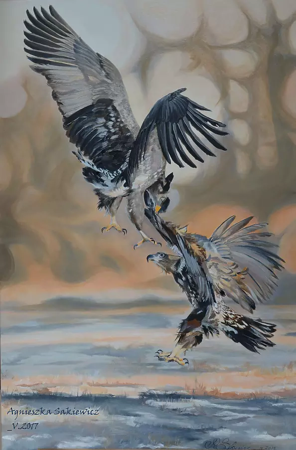 Agnieszka Morysiak - "Oto Polska"