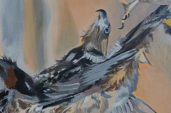 Agnieszka Morysiak - "Oto Polska"