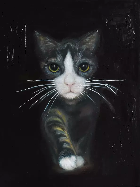 Tetyana Shcherba - Out of the Dark