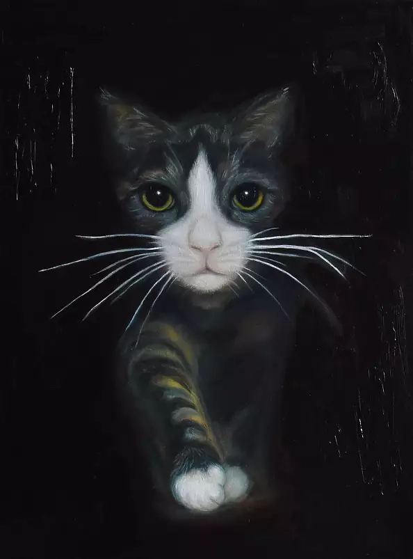 Tetyana Shcherba - Out of the Dark