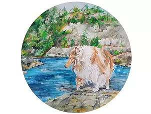 Justyna Kurowska - Sheep-dog