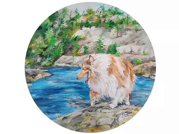 Justyna Kurowska - Sheep-dog