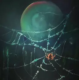 Joanna Rodowicz - SPIDER IN ITS DNA