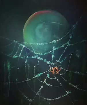   - SPIDER IN ITS DNA