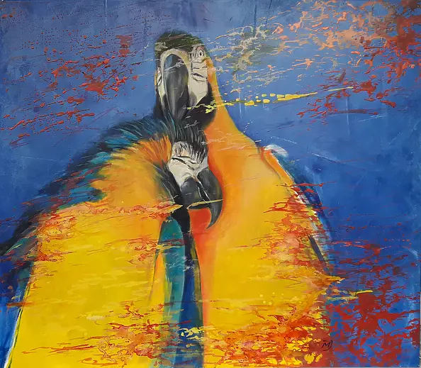 Małgorzata Jaroma - PARROTS