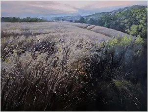 Hubert Jabłoński - CEREAL LANDSCAPE