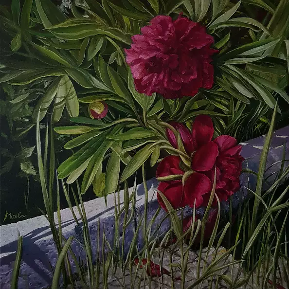 Elżbieta Mozyro - peony