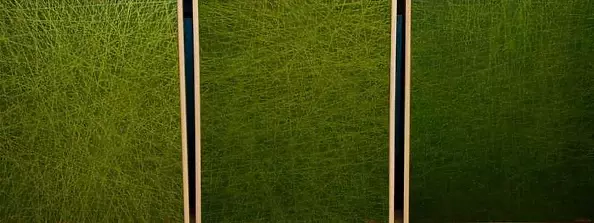 Tadeusz Gazda - P N V