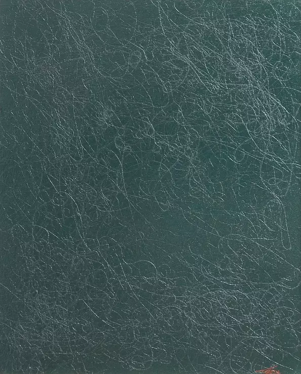 Tadeusz Gazda - P-N XIV