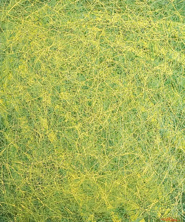 Tadeusz Gazda - P-N XVIII