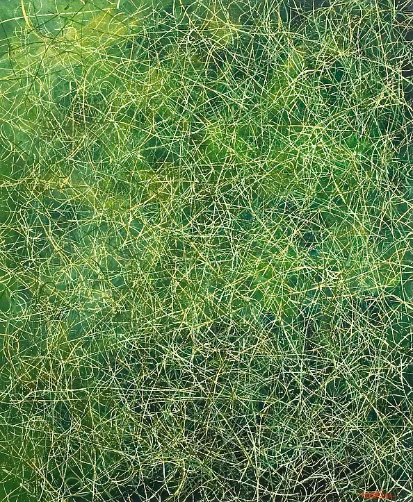 Tadeusz Gazda - P-N XVI