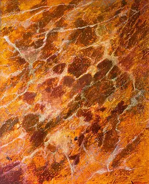 Tadeusz Gazda - P-N XXIII