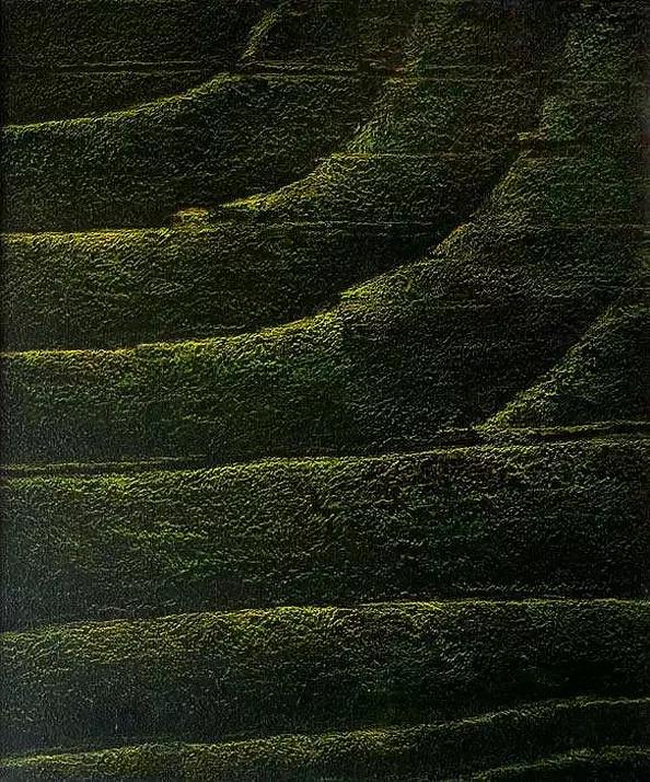 Tadeusz Gazda - P-N XXII