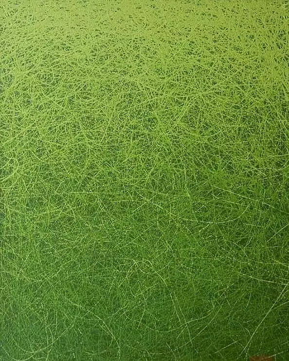 Tadeusz Gazda - P-N X