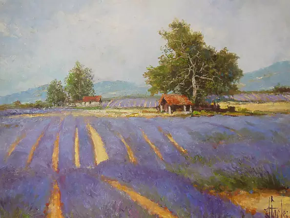 Józef Łącki - LAWENDA FIELDS