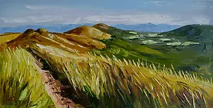 Dorota Łaz - Połoniny