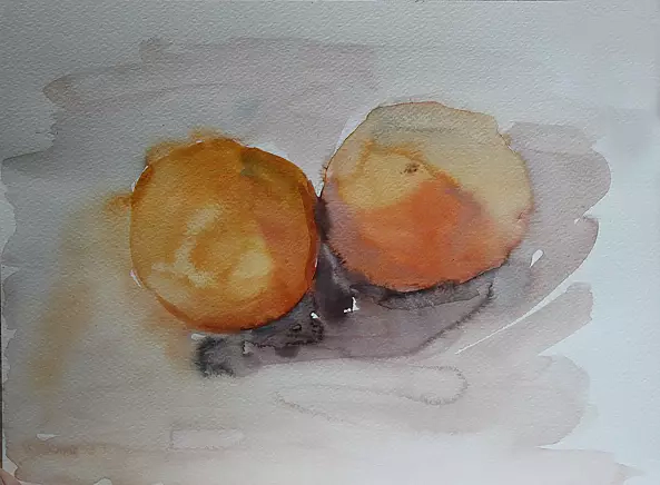 Kateryna Honcharenko - ORANGE AND GRAPEFRUIT