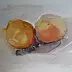 Kateryna Honcharenko - ORANGE AND GRAPEFRUIT