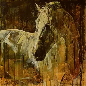 Marcin Mikołajczak - PORTRAIT OF A HORSE