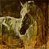 Marcin Mikołajczak - PORTRAIT OF A HORSE