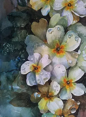Magdalena Szymanska - PRIMULA 1