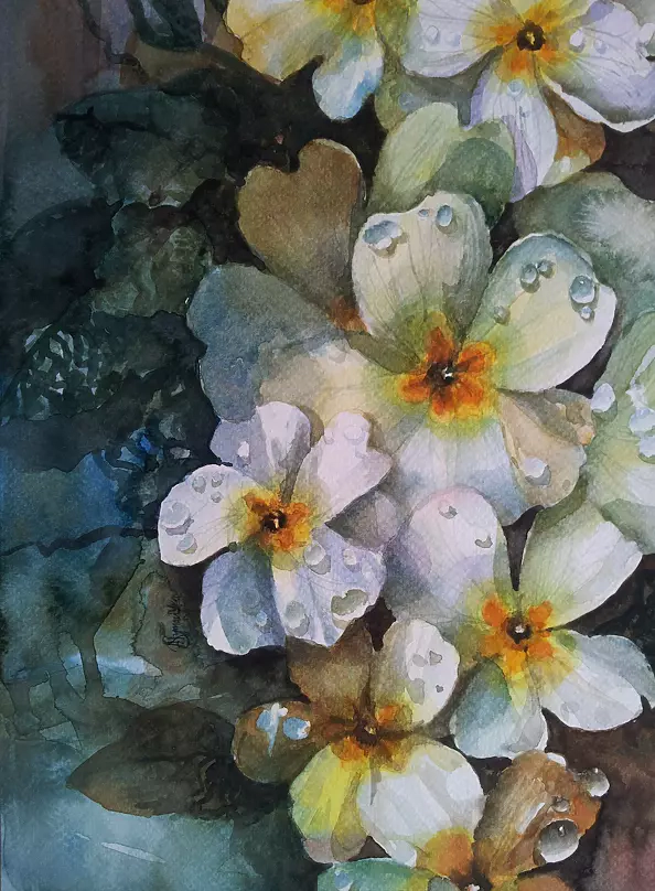 Magdalena Szymanska - PRIMULA 1