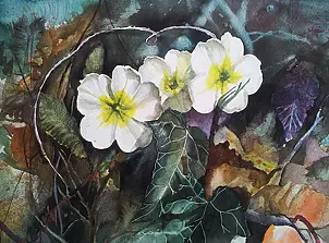 Magdalena Szymanska - PRIMULA