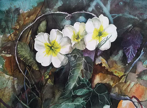 Magdalena Szymanska - PRIMULA