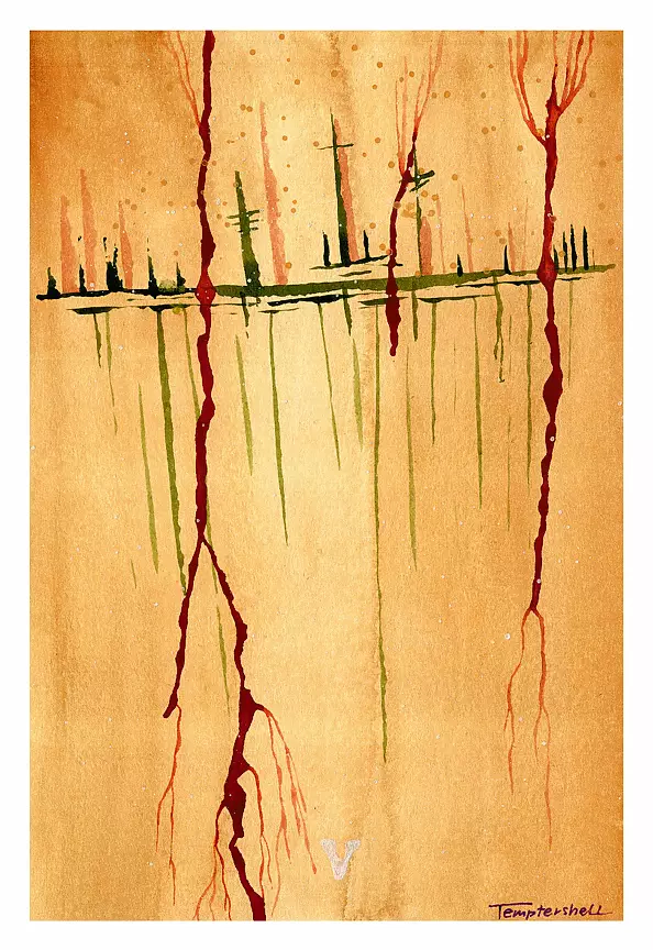 Maciej Wojtoń - PROSPECT V