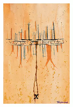 Maciej Wojtoń - PROSPECT X