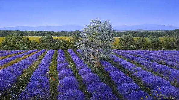 Pier Luigi Parnisari -  PROVENZA