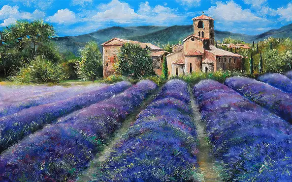 Radosław Popek - PROVENCE. LAVENDER FIELD