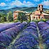 Radosław Popek - PROVENCE. LAVENDER FIELD