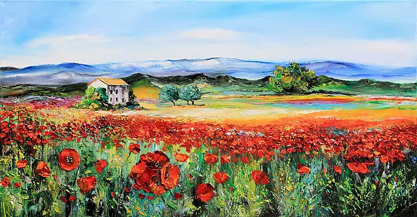 Radosław Popek - PROVENCE